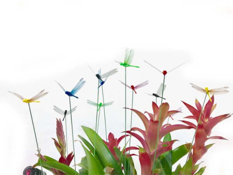 MULTI COLOR DRAGONFLY PICKS, SET OF 12.  4 COLORS, 3 PER COLOR 2.76"X18" H