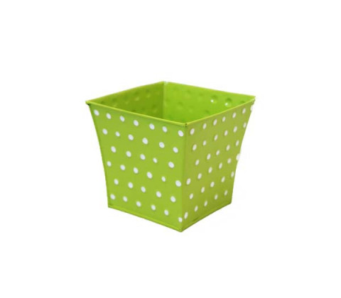 SQUARE LIME CONTAINER WITH 3D WHITE DOTS