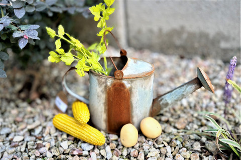 RUSTY ZINC OVAL WATERCAN 10Lx5.5WX5H